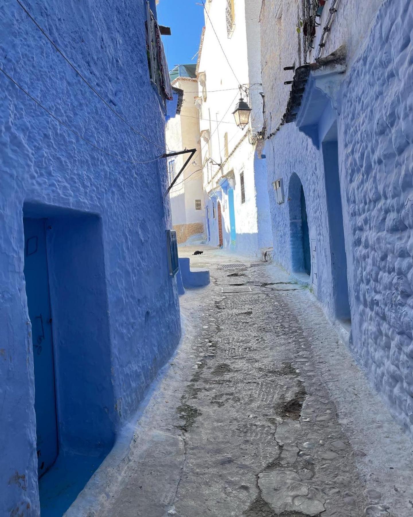 Tranquil Oasis In Chefchaouen 아파트 외부 사진